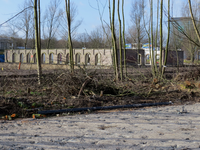 822919 Gezicht op de restanten van een steenoven van de voormalige Steenfabriek De Liesbosch in het Liesbospark ...